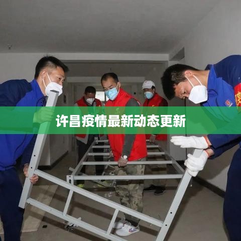 许昌疫情最新动态更新