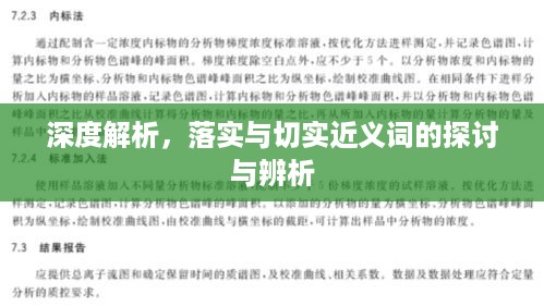 深度解析，落实与切实近义词的探讨与辨析