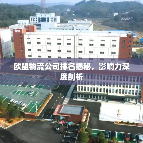 欧盟物流公司排名揭秘，影响力深度剖析