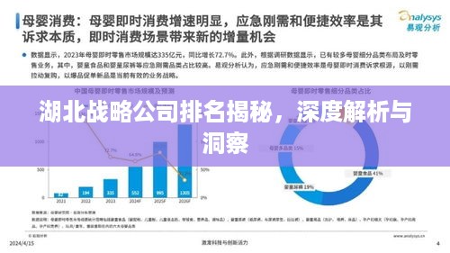 湖北战略公司排名揭秘，深度解析与洞察