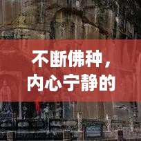 不断佛种，内心宁静的力量探寻