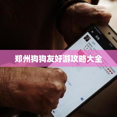 郑州狗狗友好游攻略大全