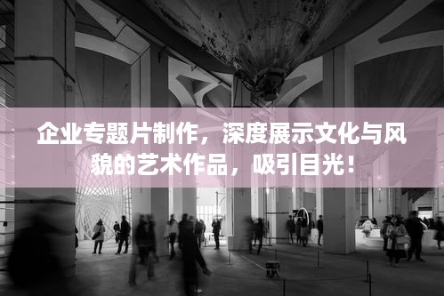 企业专题片制作，深度展示文化与风貌的艺术作品，吸引目光！