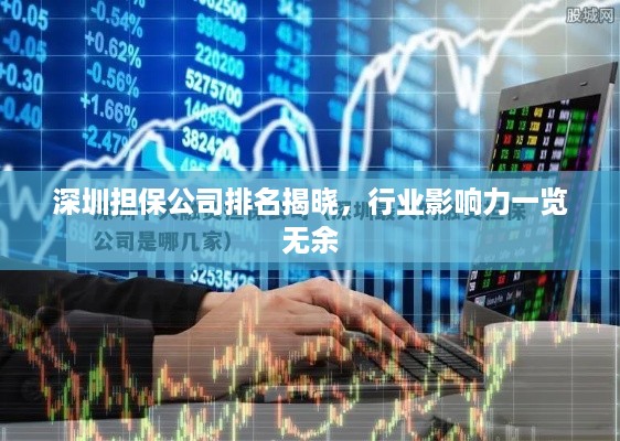 深圳担保公司排名揭晓，行业影响力一览无余