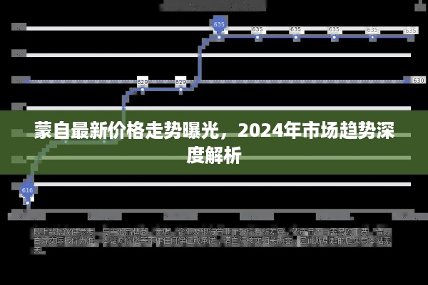蒙自最新价格走势曝光，2024年市场趋势深度解析