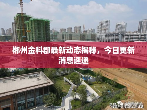 郴州金科郡最新动态揭秘，今日更新消息速递