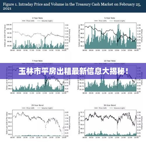 玉林市平房出租最新信息大揭秘！