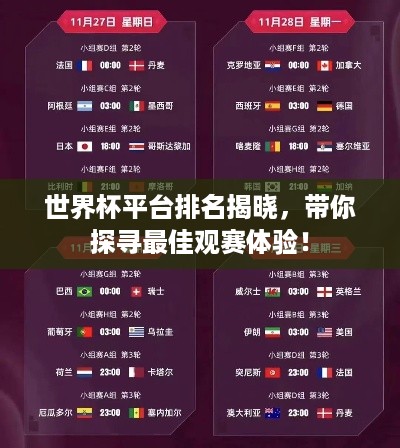 世界杯平台排名揭晓，带你探寻最佳观赛体验！