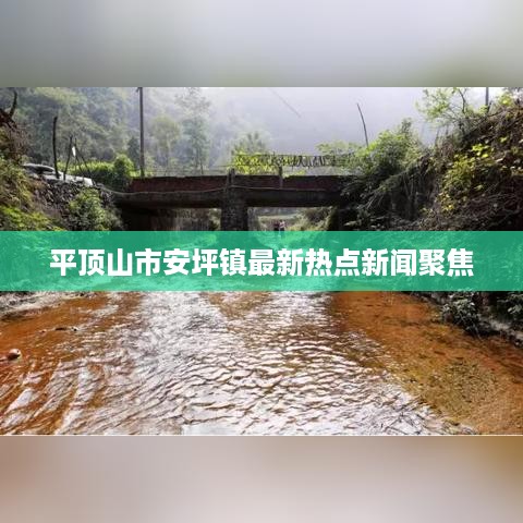 平顶山市安坪镇最新热点新闻聚焦