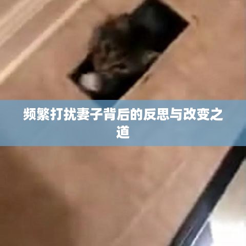 频繁打扰妻子背后的反思与改变之道