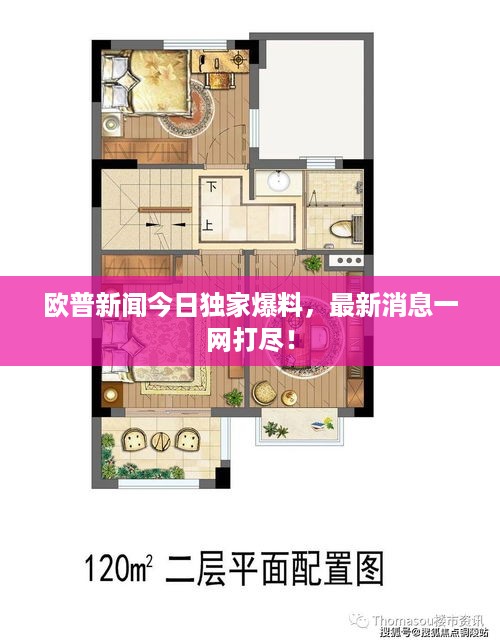 欧普新闻今日独家爆料，最新消息一网打尽！