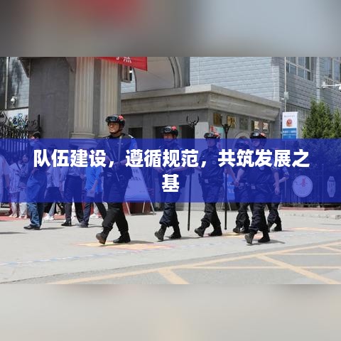 队伍建设，遵循规范，共筑发展之基