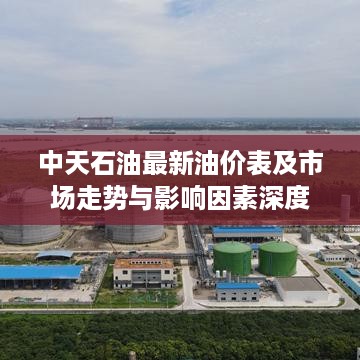 中天石油最新油价表及市场走势与影响因素深度解析