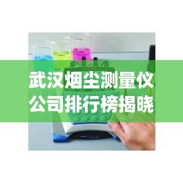 武汉烟尘测量仪公司排行榜揭晓，行业领先的几家企业！
