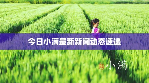 今日小满最新新闻动态速递