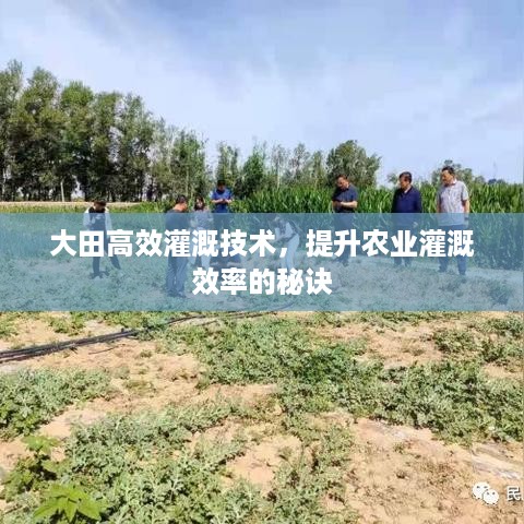 大田高效灌溉技术，提升农业灌溉效率的秘诀