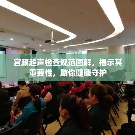 宫颈超声检查规范图解，揭示其重要性，助你健康守护
