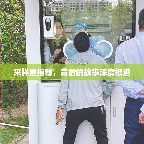 采样屋揭秘，背后的故事深度报道