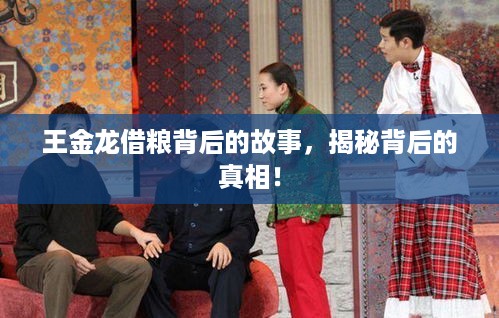 王金龙借粮背后的故事，揭秘背后的真相！
