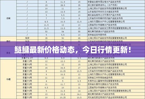 鲢鳙最新价格动态，今日行情更新！