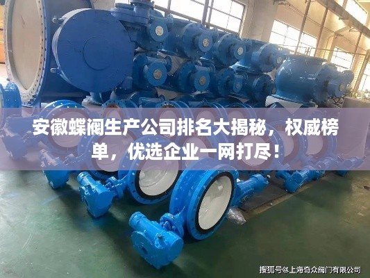 安徽蝶阀生产公司排名大揭秘，权威榜单，优选企业一网打尽！