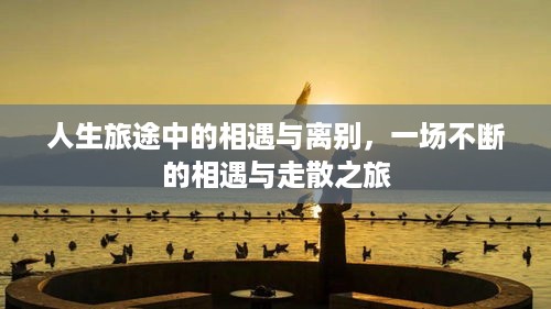 人生旅途中的相遇与离别，一场不断的相遇与走散之旅