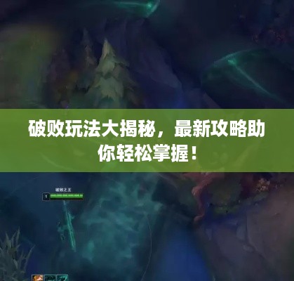公证管理 第75页