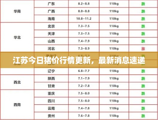 江苏今日猪价行情更新，最新消息速递