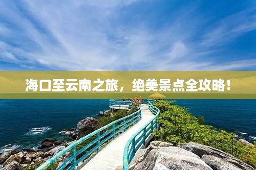 存证 第71页