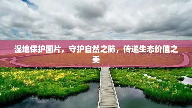 公证管理 第70页