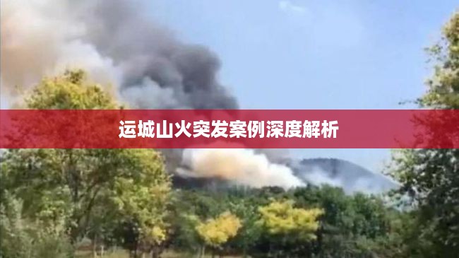 运城山火突发案例深度解析