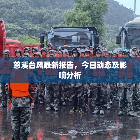 慈溪台风最新报告，今日动态及影响分析