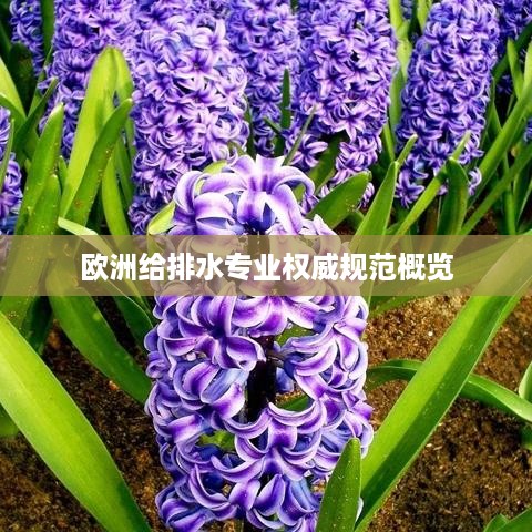 欧洲给排水专业权威规范概览