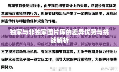独家与非独家图片库的差异优势与挑战解析