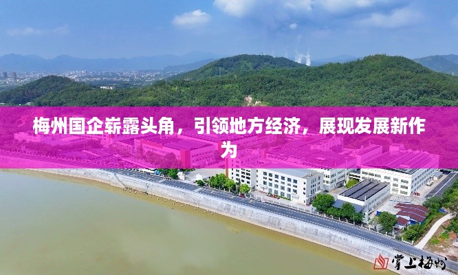删华就素