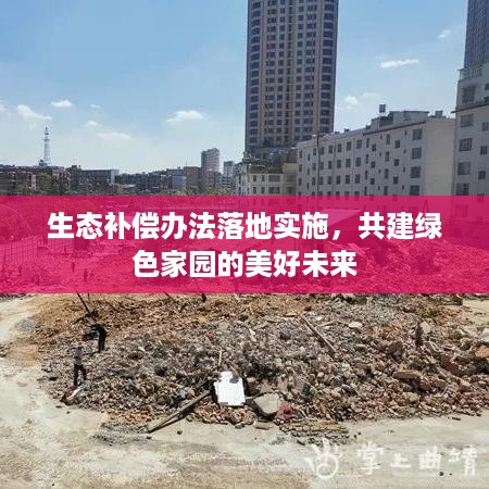 生态补偿办法落地实施，共建绿色家园的美好未来