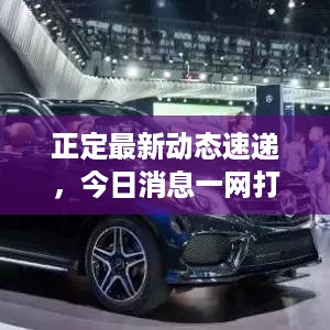 正定最新动态速递，今日消息一网打尽！