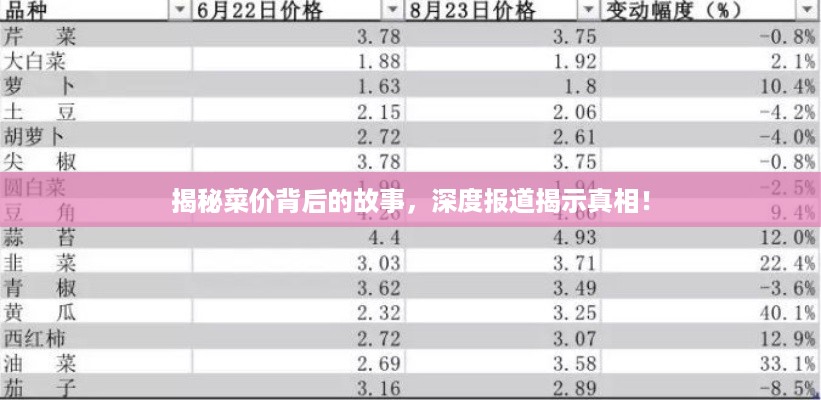 揭秘菜价背后的故事，深度报道揭示真相！