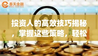 投资人的高效技巧揭秘，掌握这些策略，轻松提升投资回报！