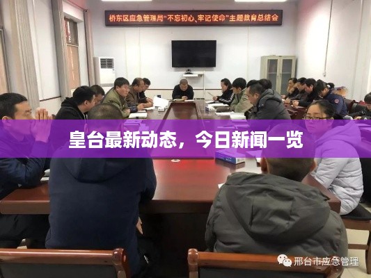 皇台最新动态，今日新闻一览