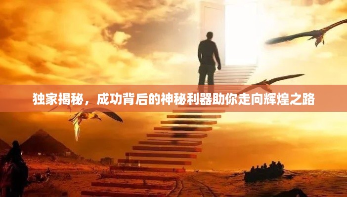 独家揭秘，成功背后的神秘利器助你走向辉煌之路