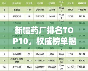 新疆药厂排名TOP10，权威榜单揭晓