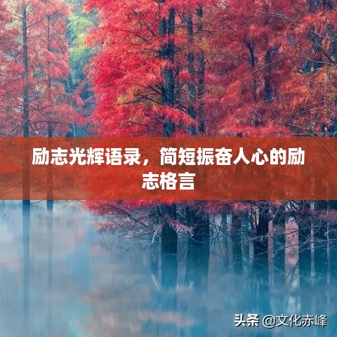 励志光辉语录，简短振奋人心的励志格言