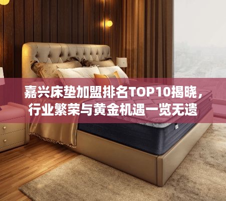 嘉兴床垫加盟排名TOP10揭晓，行业繁荣与黄金机遇一览无遗