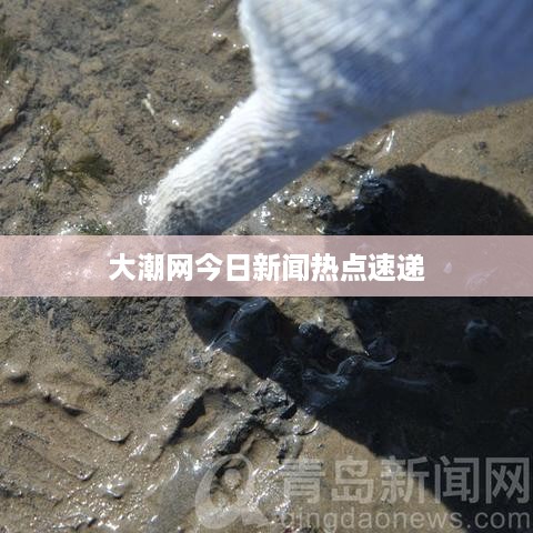 大潮网今日新闻热点速递