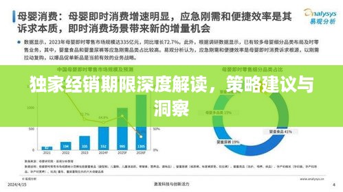 独家经销期限深度解读，策略建议与洞察