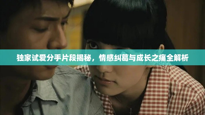 独家试爱分手片段揭秘，情感纠葛与成长之痛全解析
