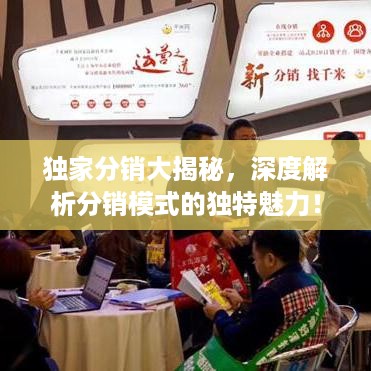 独家分销大揭秘，深度解析分销模式的独特魅力！