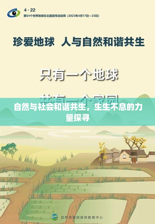 自然与社会和谐共生，生生不息的力量探寻