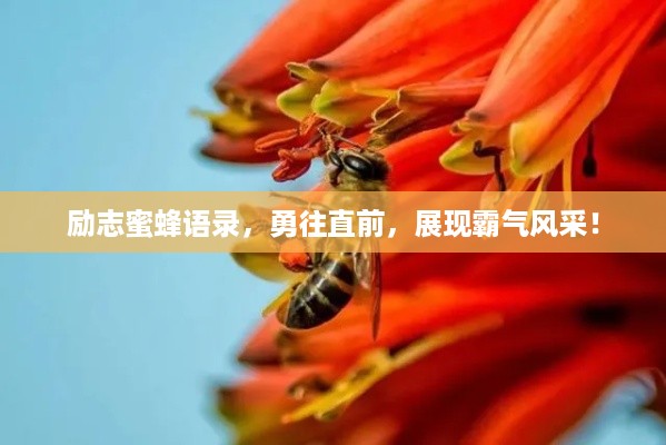 励志蜜蜂语录，勇往直前，展现霸气风采！